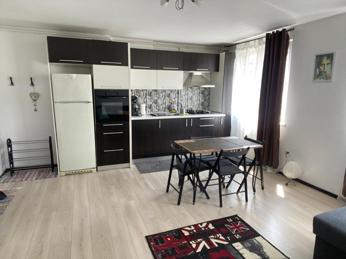 Tourist Apartment 1 Piatra Neamţ 外观 照片